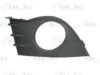BLIC 5703-05-6033914P Ventilation Grille, bumper